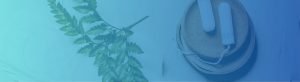 unidad de ginecologia madrid